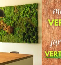 Cómo diseñar un muro verde interior para mejorar la salud y el bienestar